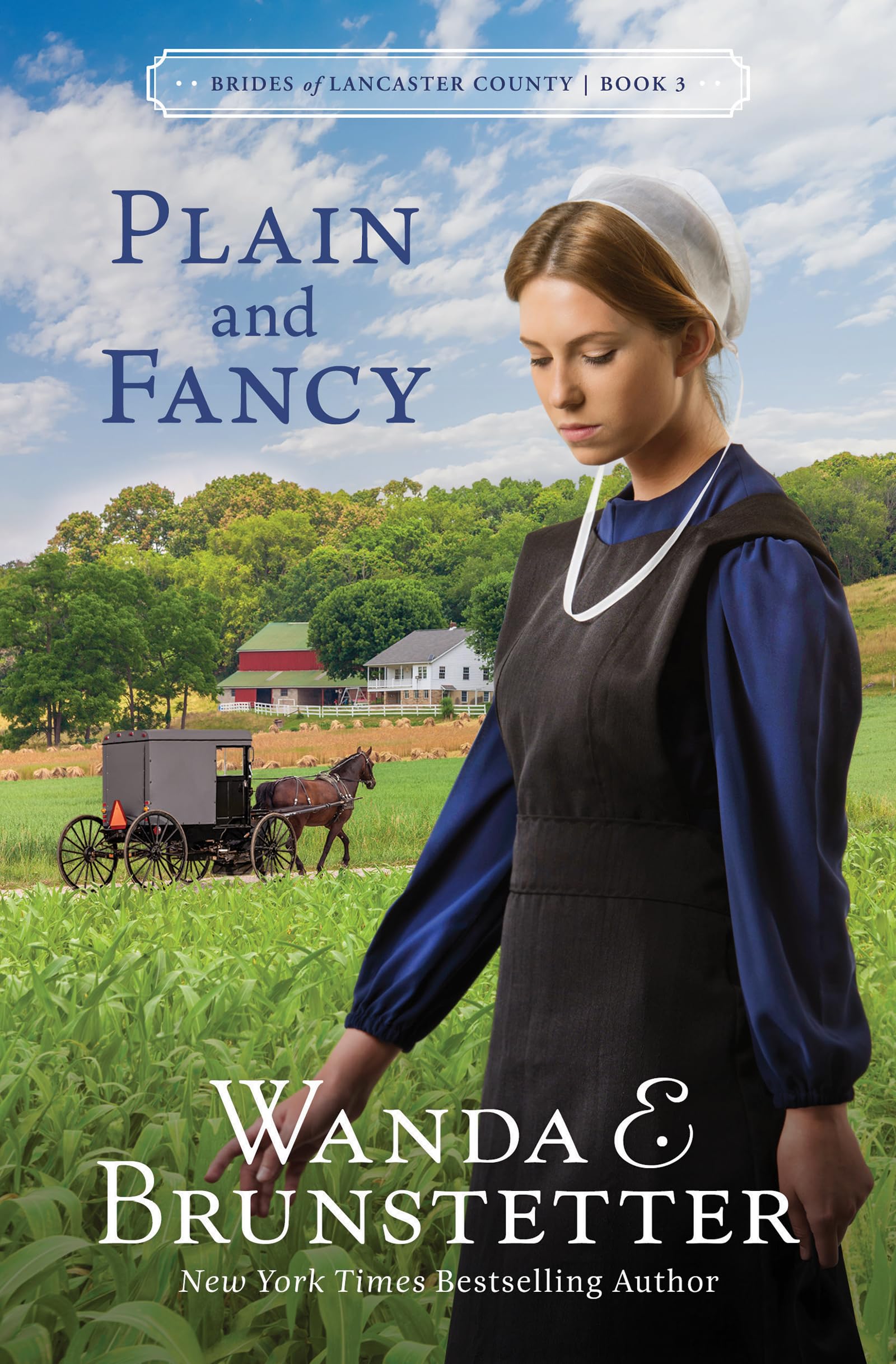 Plain and Fancy (Brides of Lancaster County, 3) 9781636097060