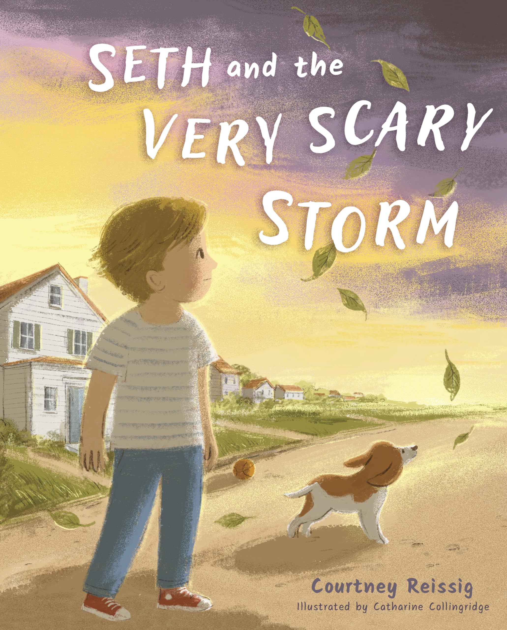 Seth and the Very Scary Storm 9798384529781