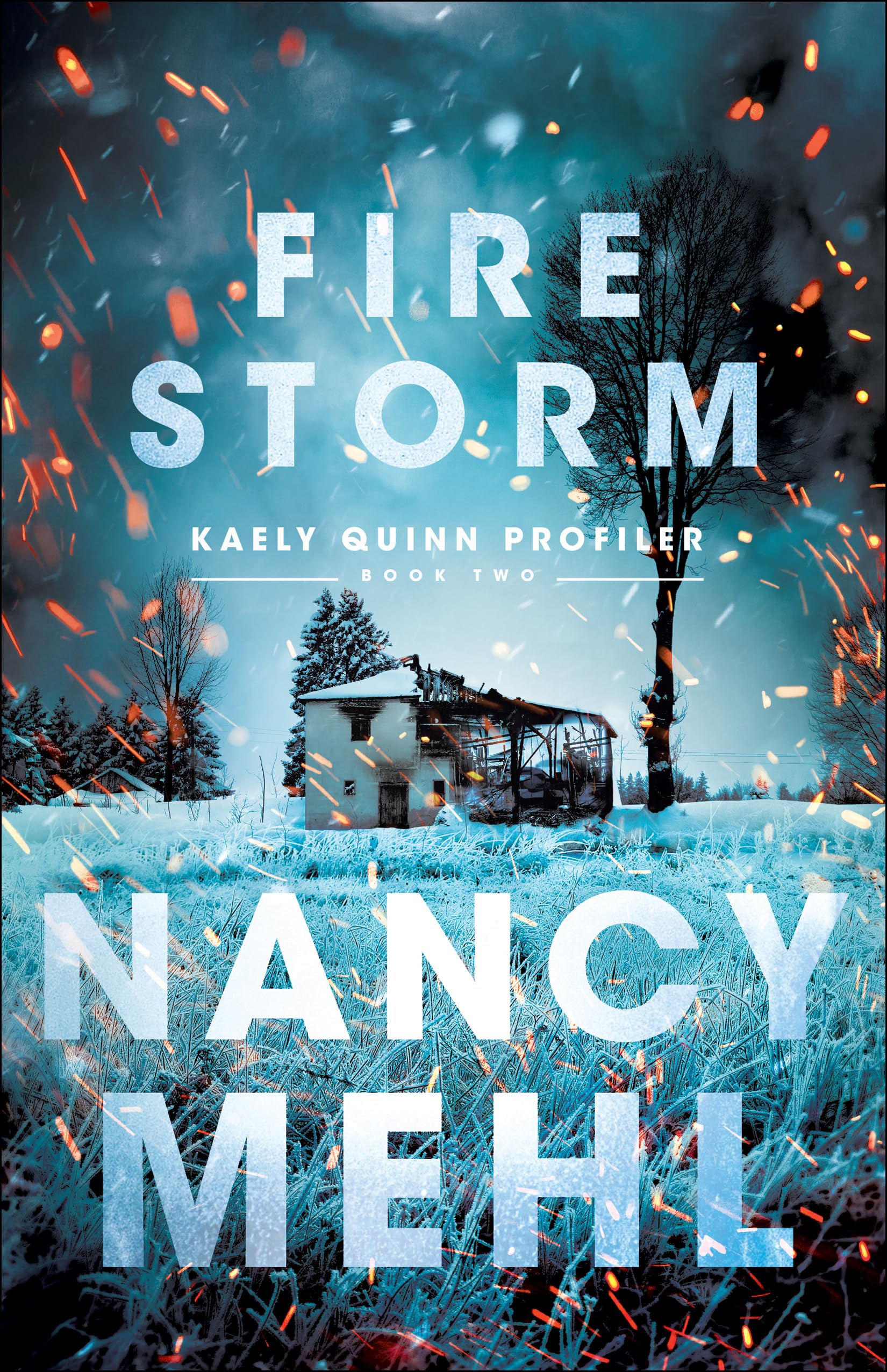 Fire Storm (Kaely Quinn Profiler) Book 2 of 3 9780764231858