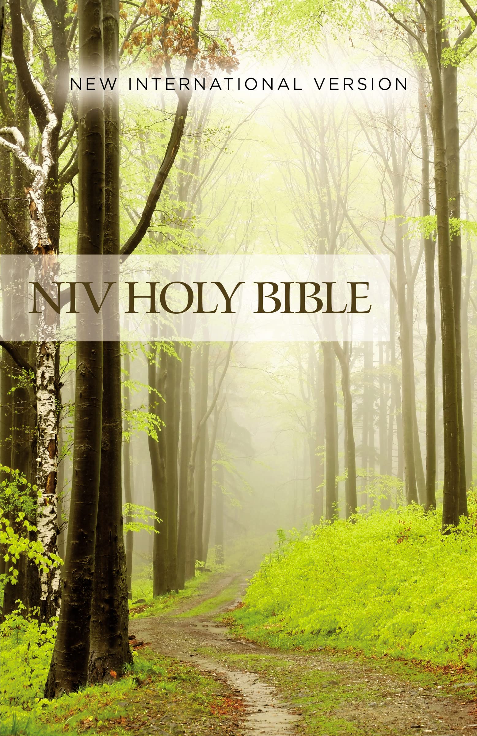 NIV Value Outreach Bible Paperback 9780310446484