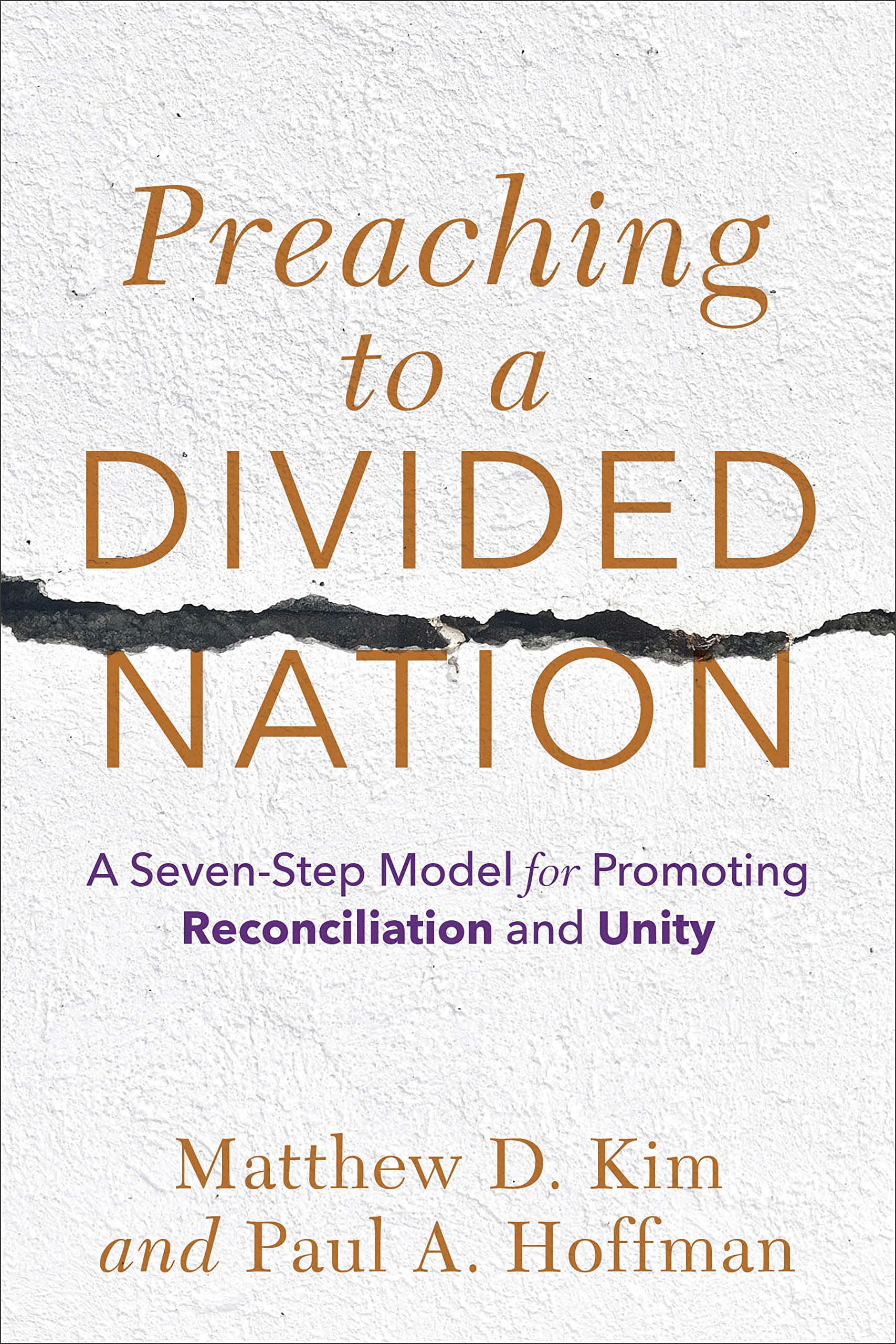Preaching to a Divided Nation 9781540964748