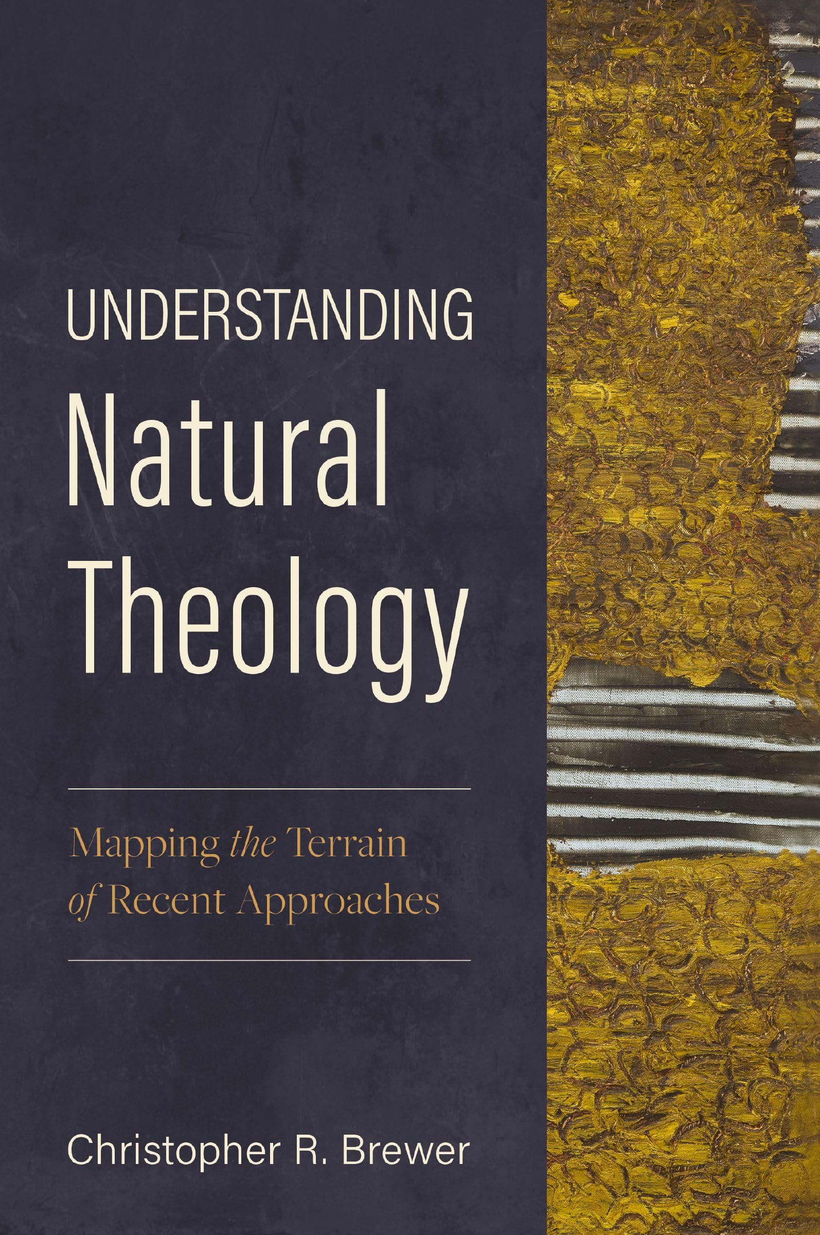 Understanding Natural Theology: Mapping the Terrain of Recent Approaches 9780310522690