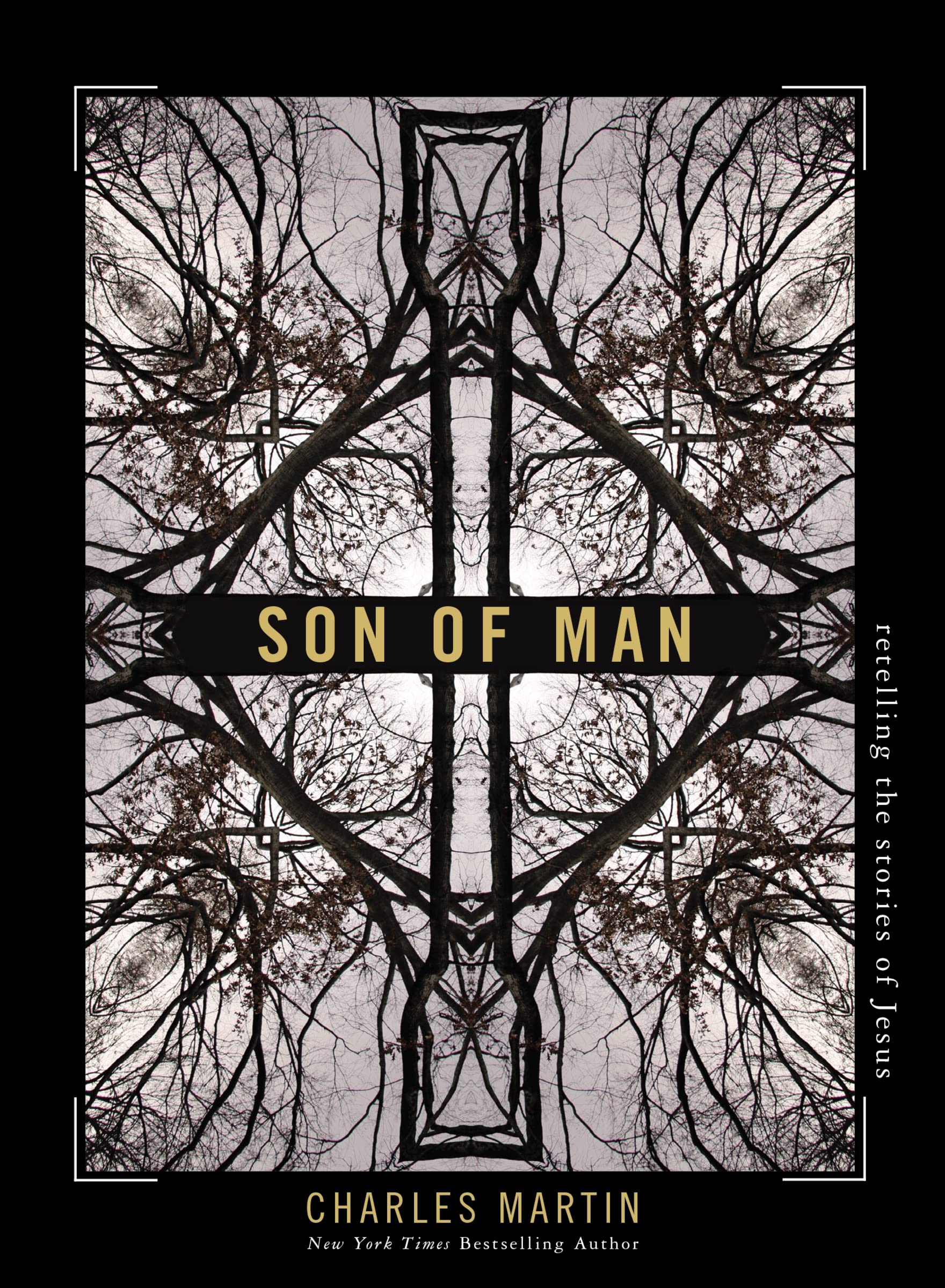 Son of Man: Retelling the Stories of Jesus 9781400333523