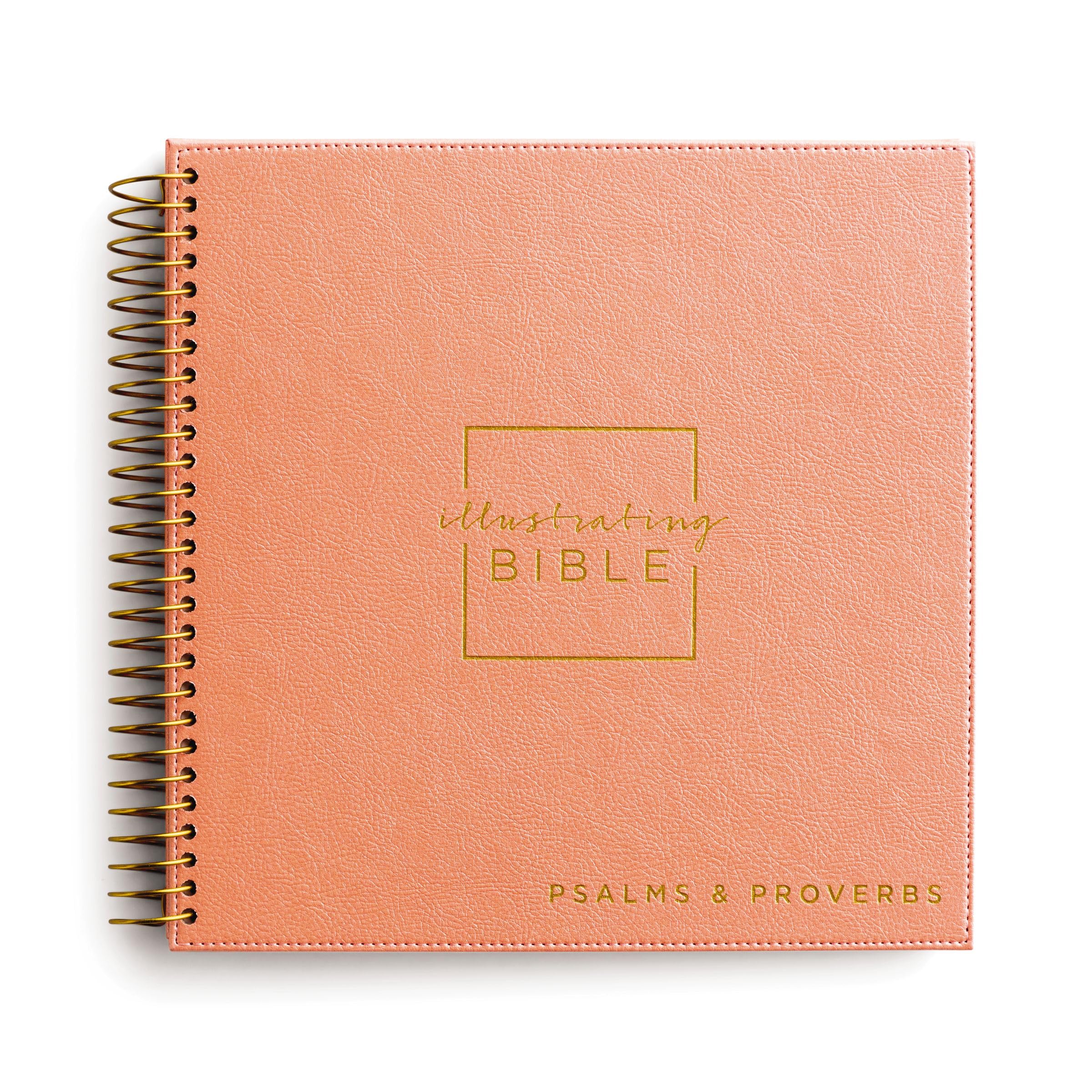 NIV Spiral-bound Illustrating Bible: Psalms and Proverbs, Leathersoft Spiral, Coral 9781644548721