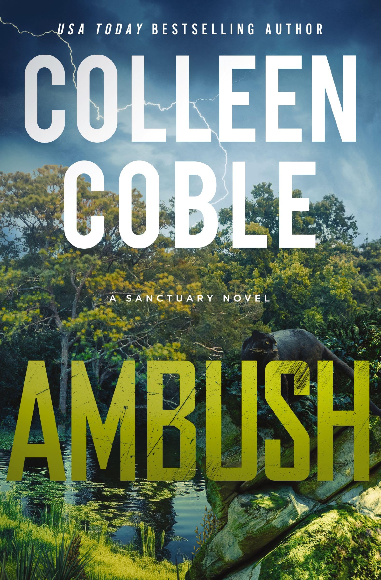Ambush: A Small-Town Romantic Suspense (A Sanctuary Novel) Book 1 of 2 9780840714220