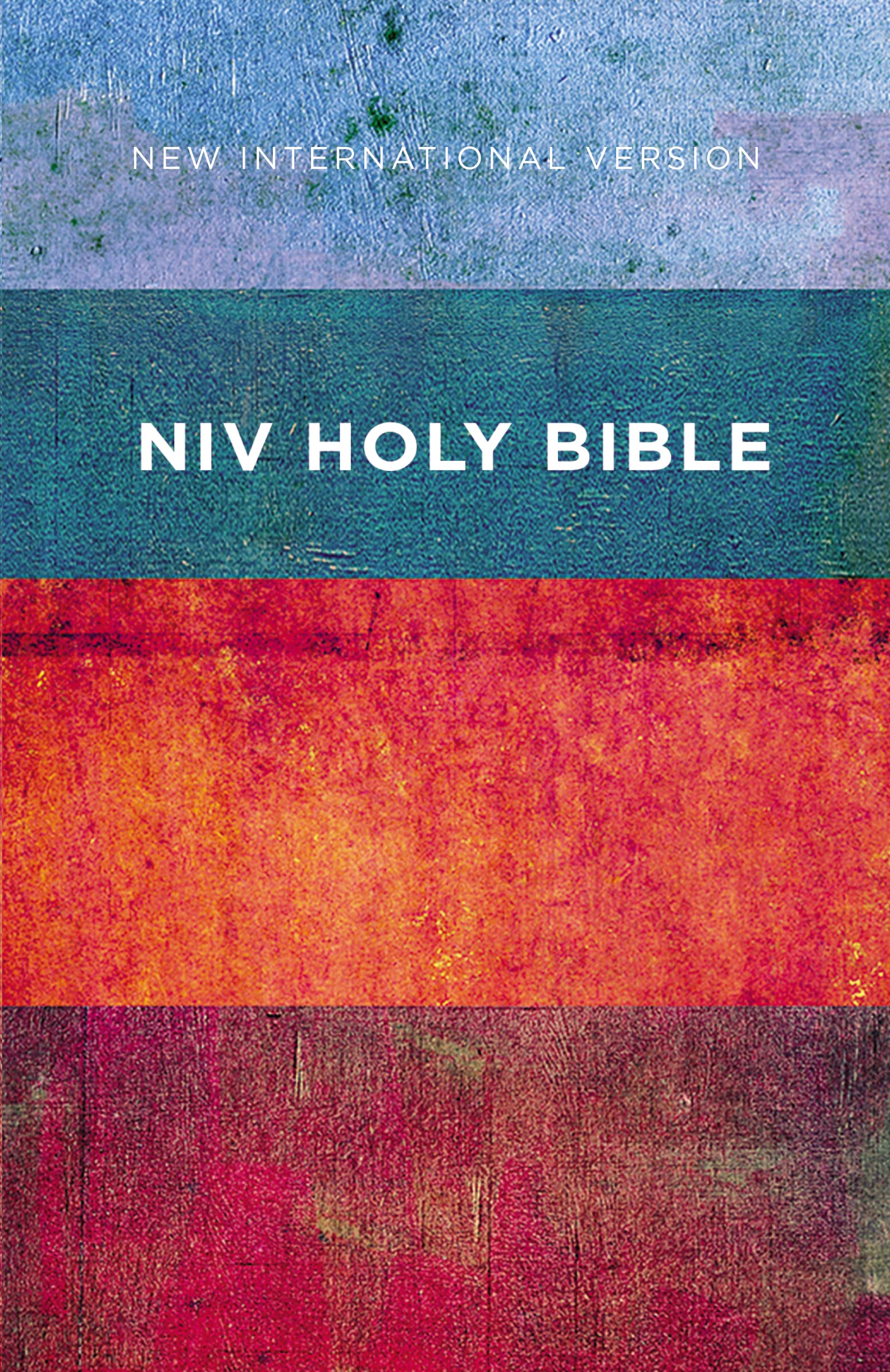 NIV Value Outreach Bible Paperback 9780310446491