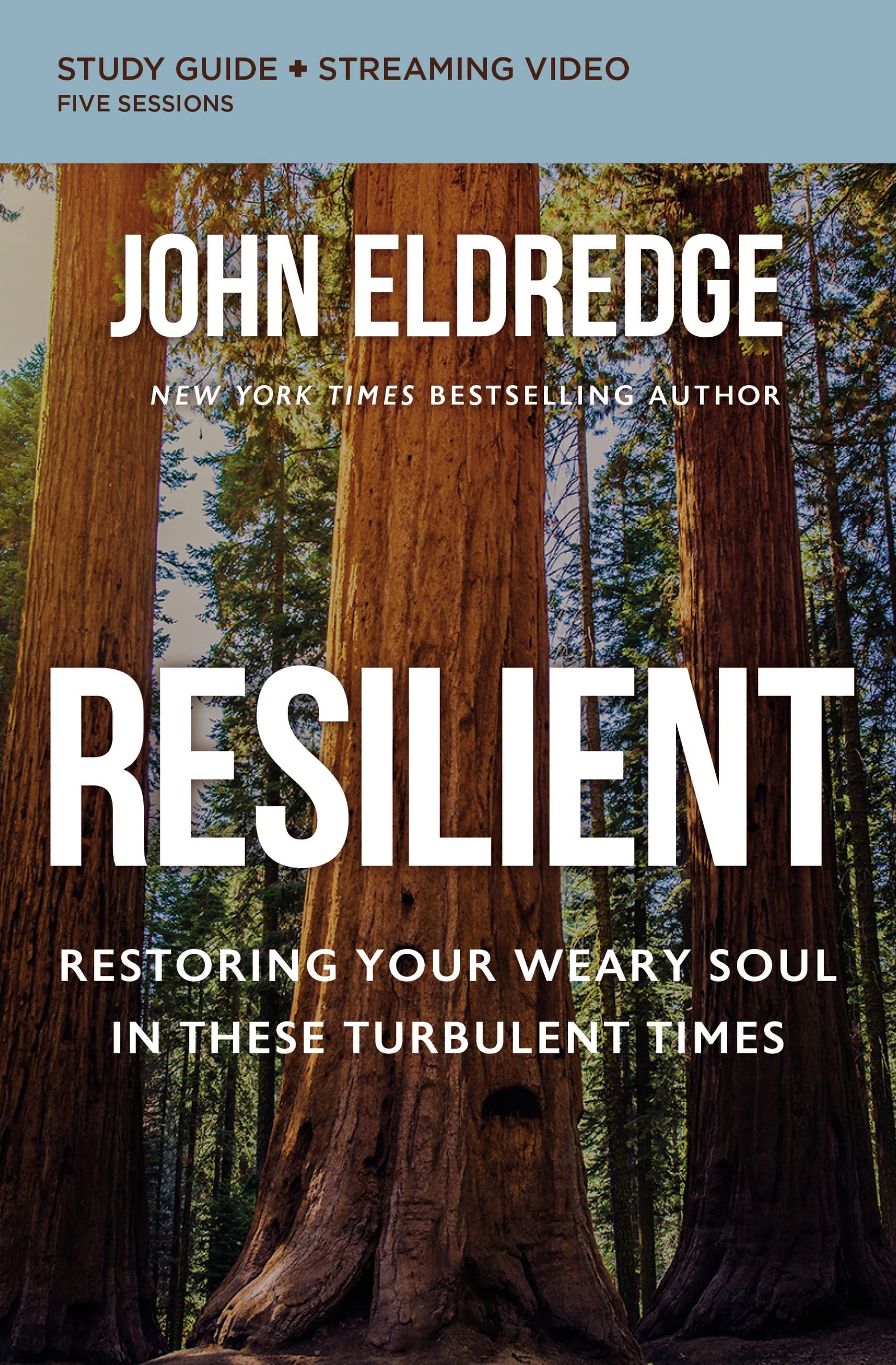 Resilient Bible Study Guide plus Streaming Video: Restoring Your Weary Soul in These Turbulent Times 9780310097044