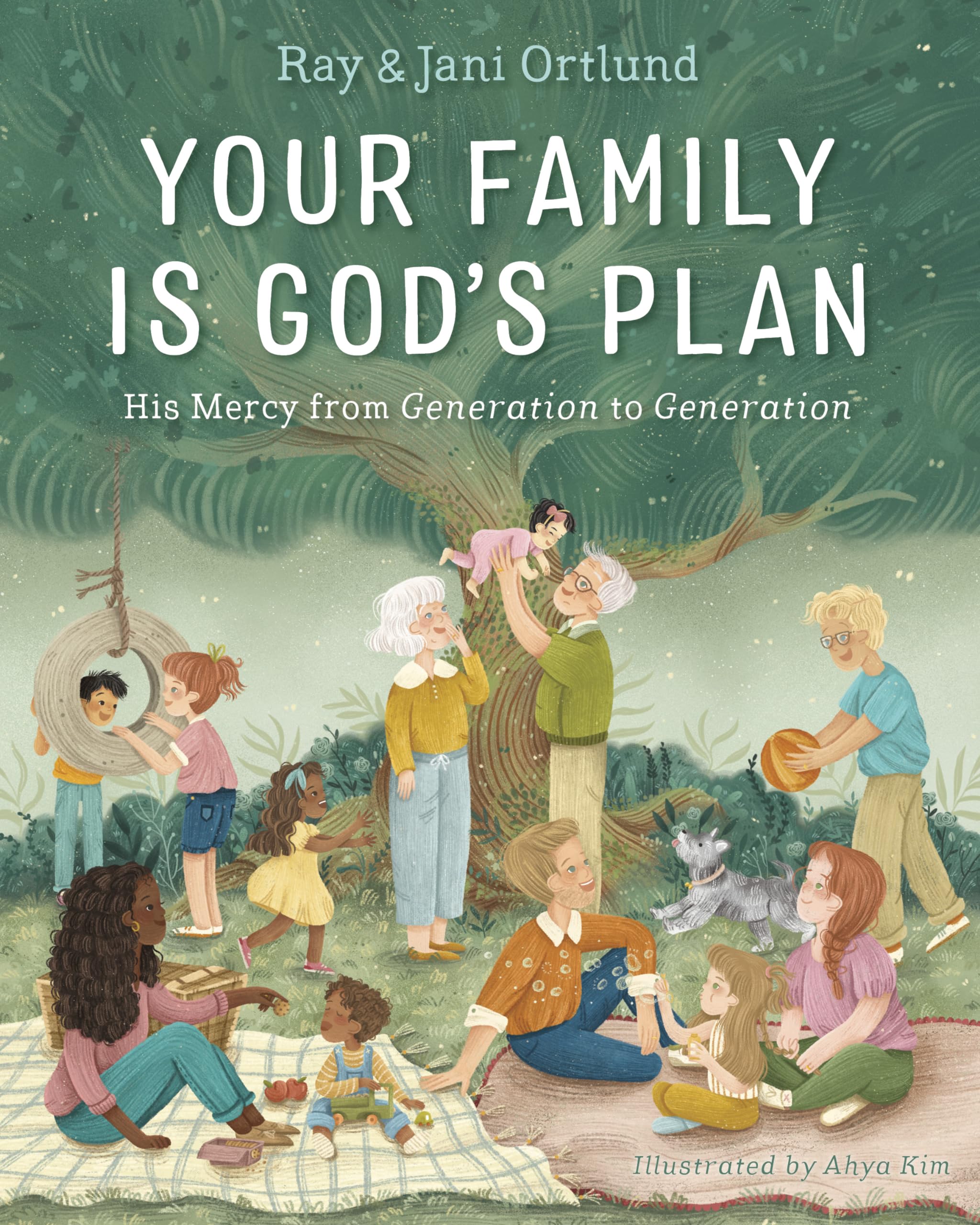 Your Family Is God's Plan: His Mercy from Generation to Generation 9781430088530
