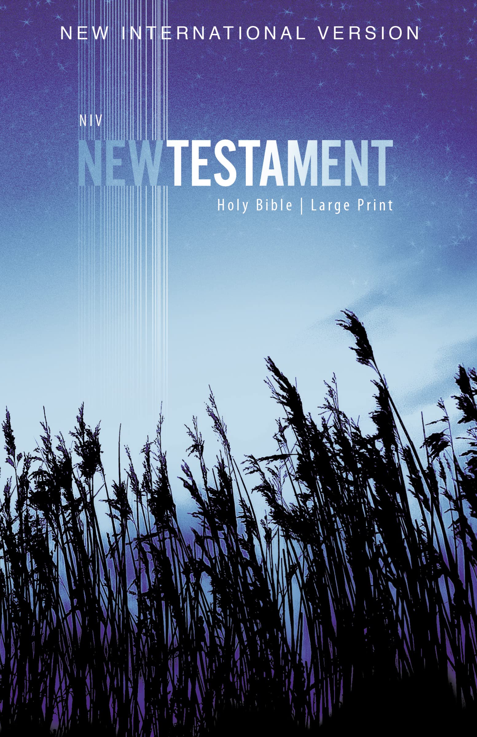 NIV Outreach New Testament Large Print Paperback 9780310446439