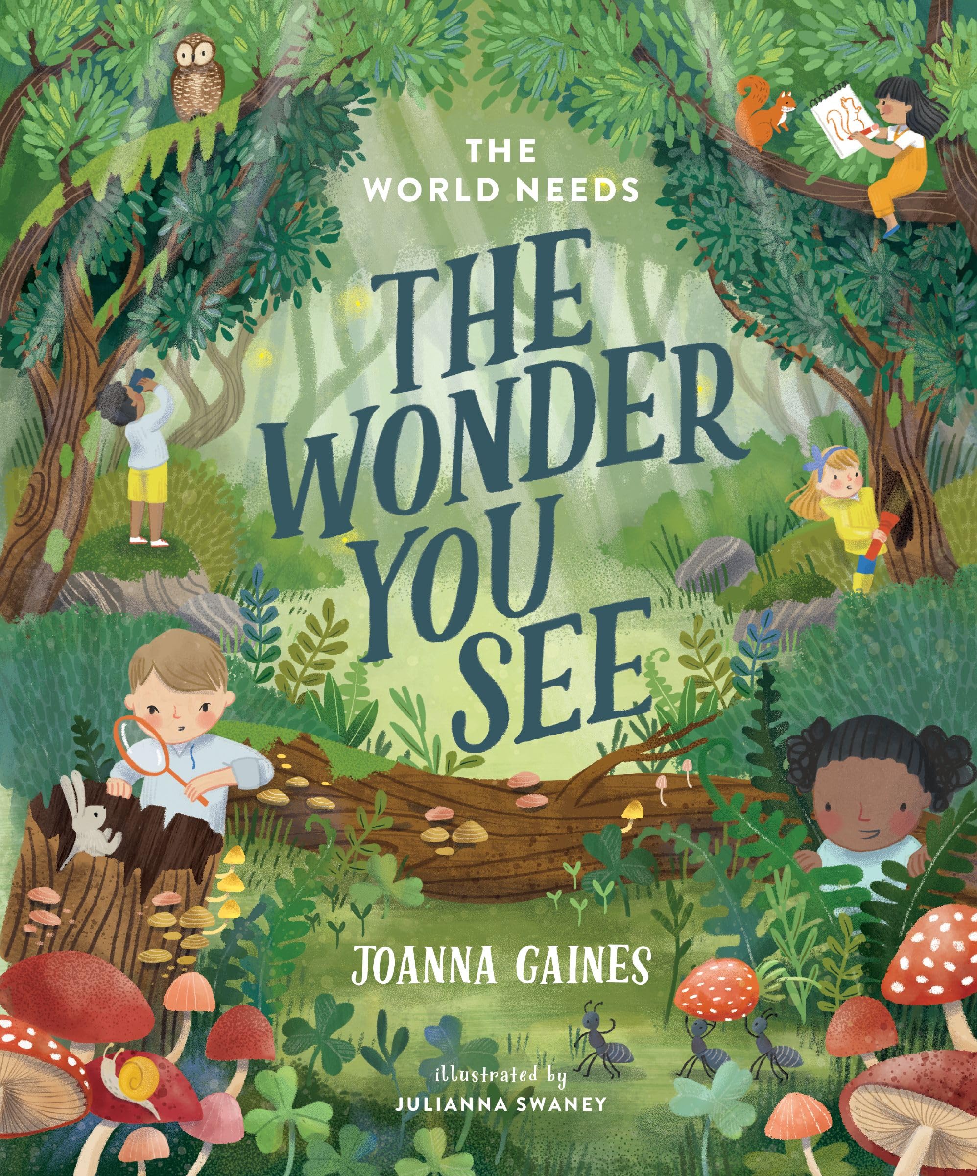 The World Needs the Wonder You See 9781400247417