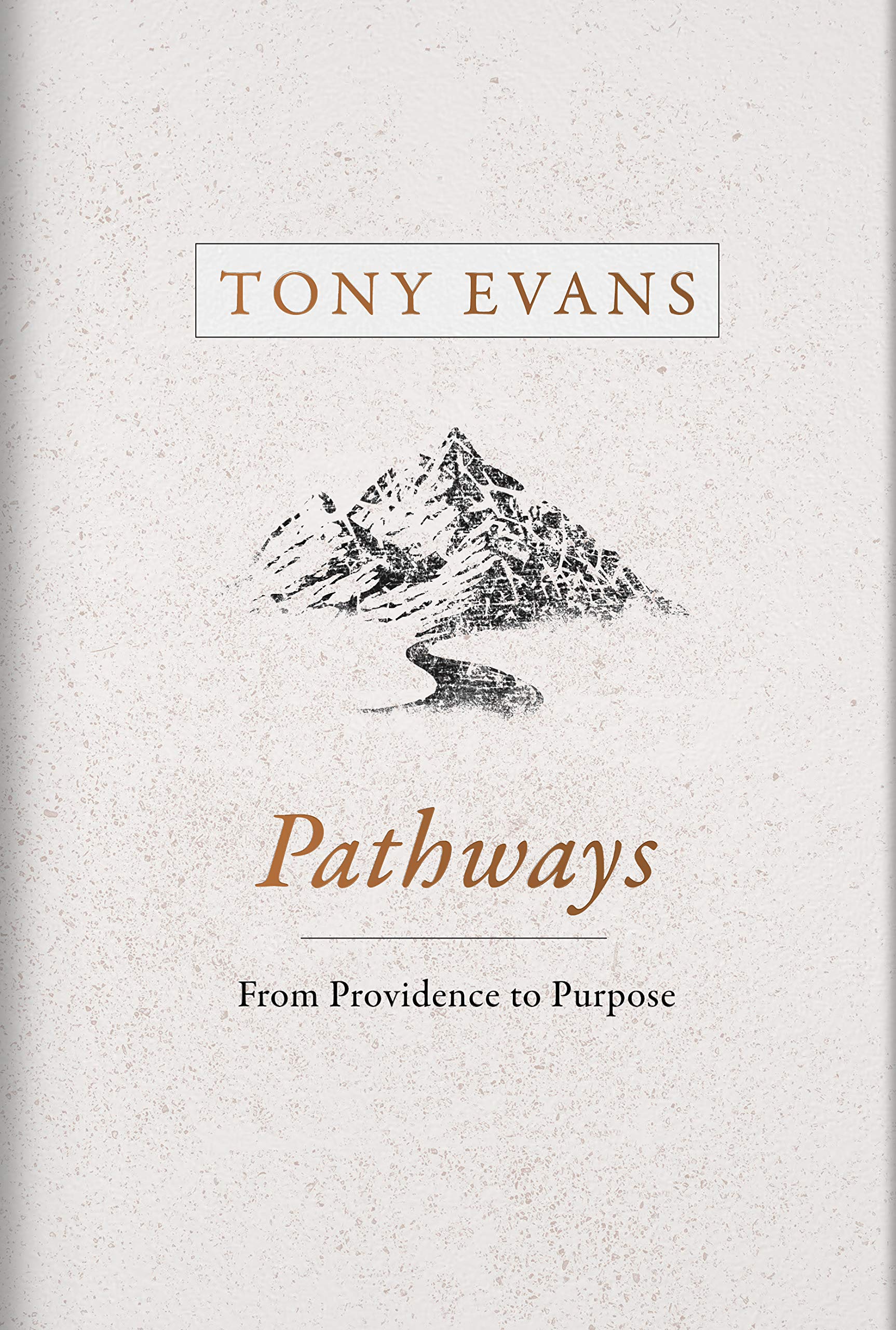 Pathways: From Providence to Purpose 9781433686603