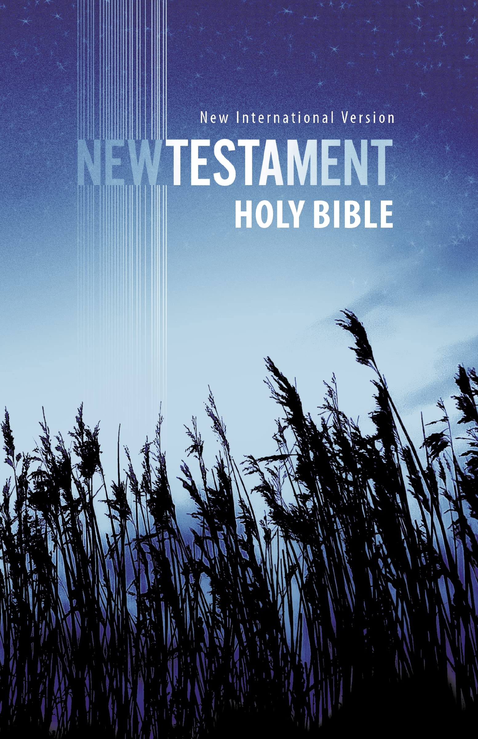 NIV Holy Bible: New International Version Outreach New Testament 9780310446804