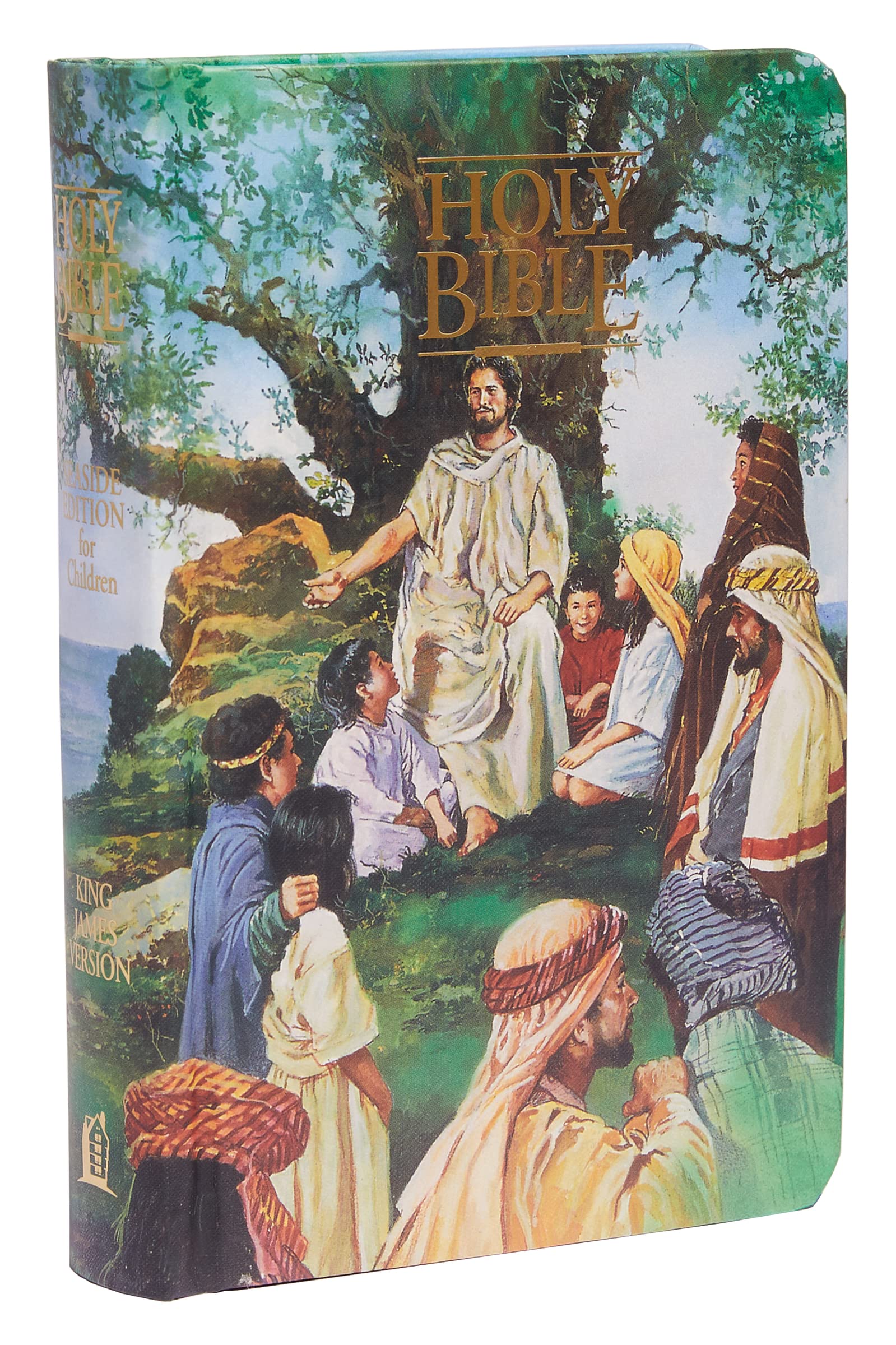 KJV Seaside Bible 9780840701756