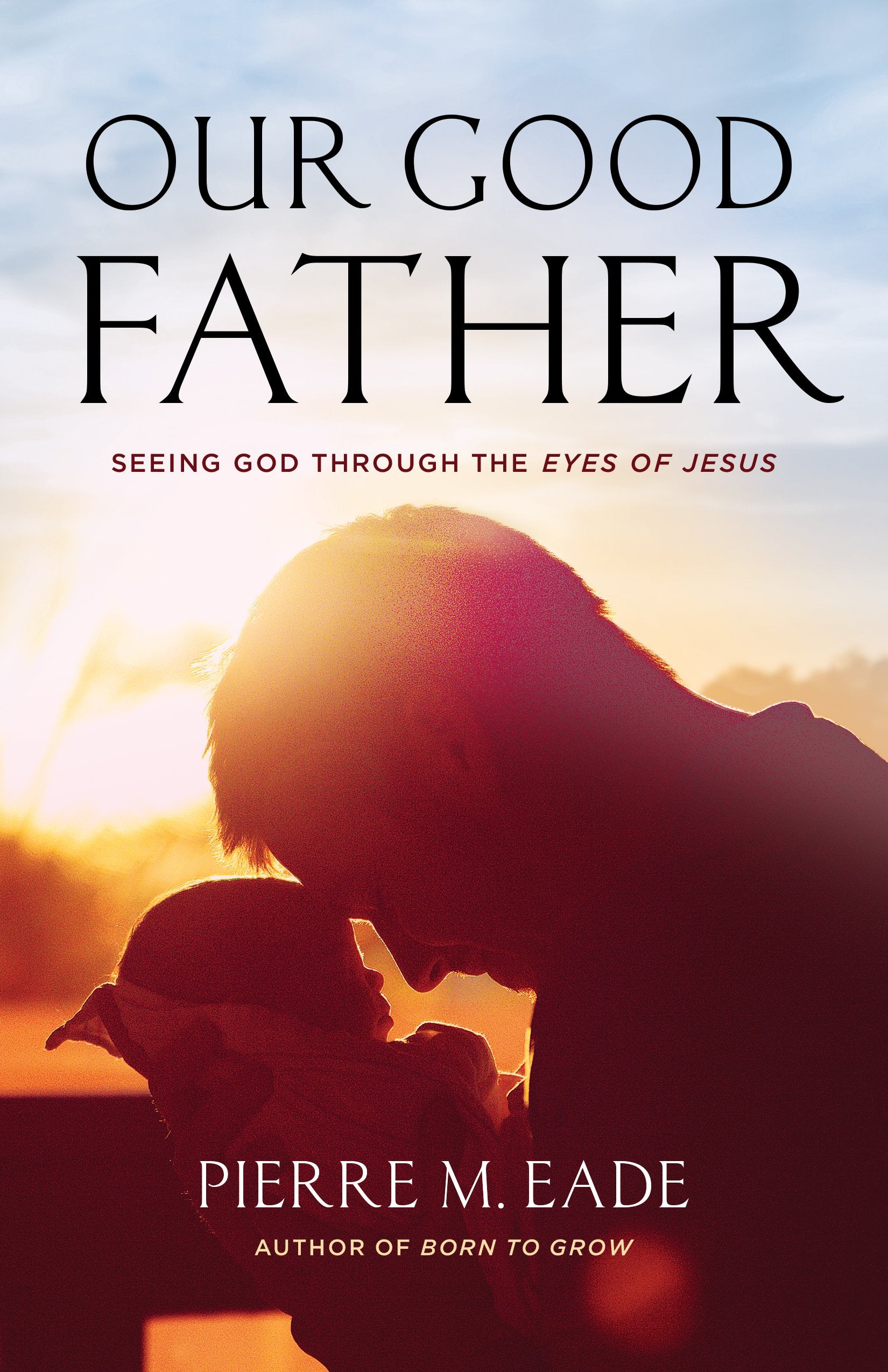 Our Good Father: Seeing God through the Eyes of Jesus 9781610361774