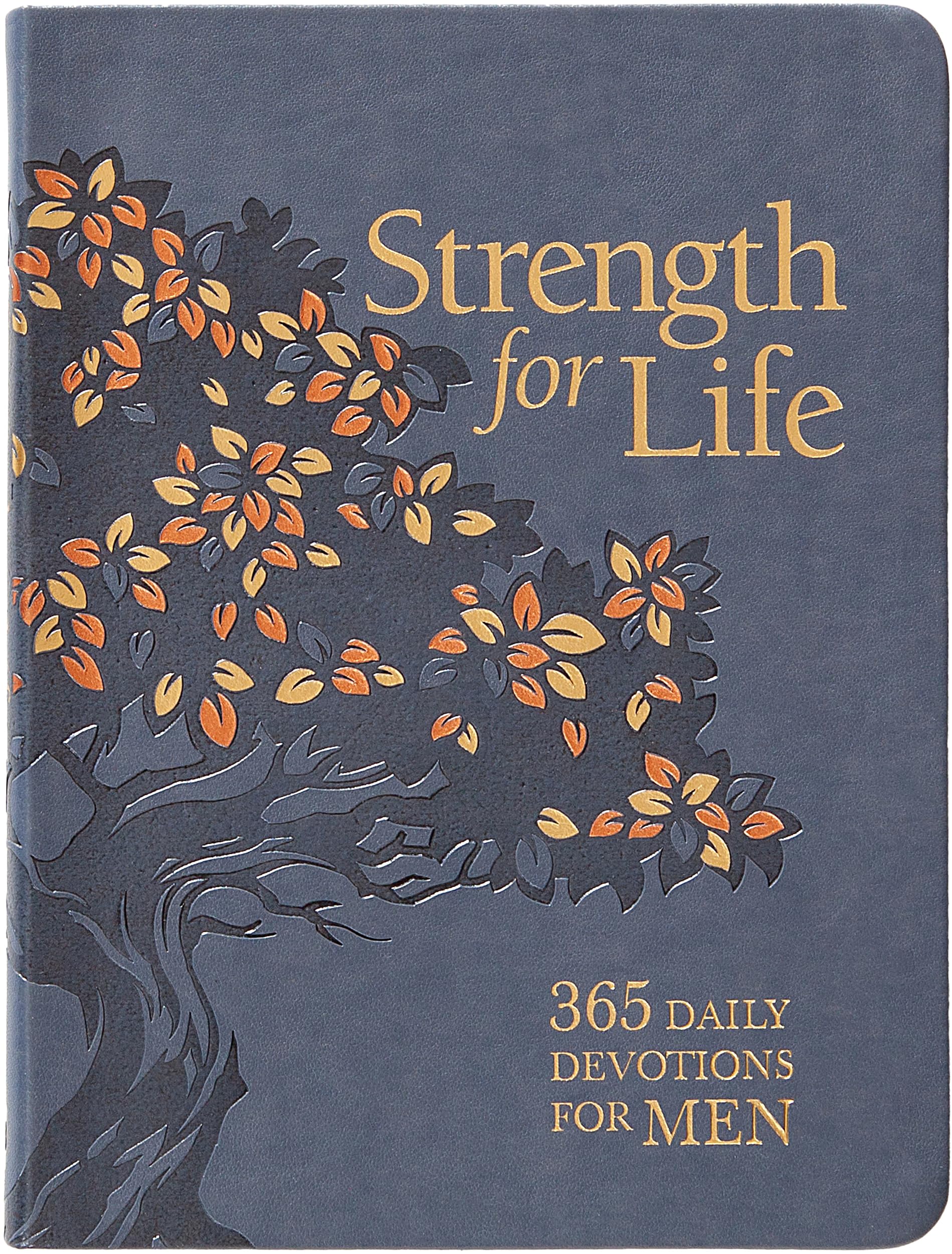 Strength for Life: 365 Daily Devotions for Men - Find Courage to Face Every Challenge 9781424569441