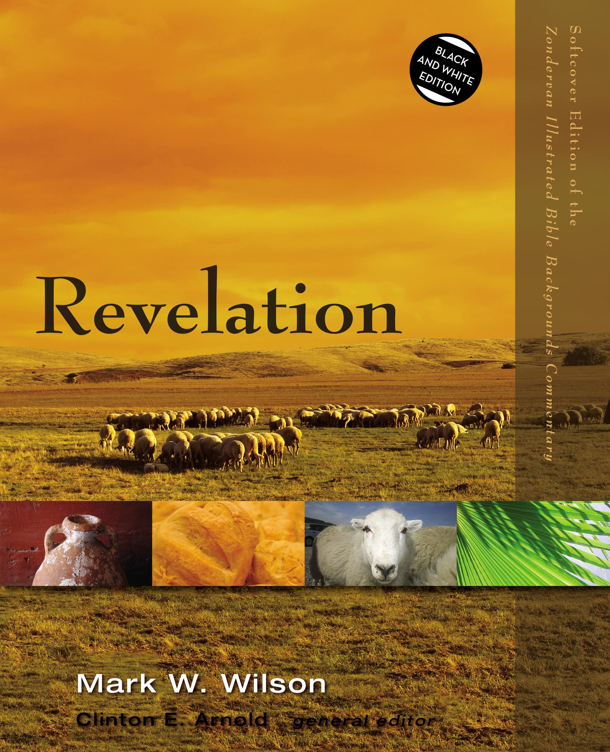 Revelation (Zondervan Illustrated Bible Backgrounds Commentary) 9780310523093