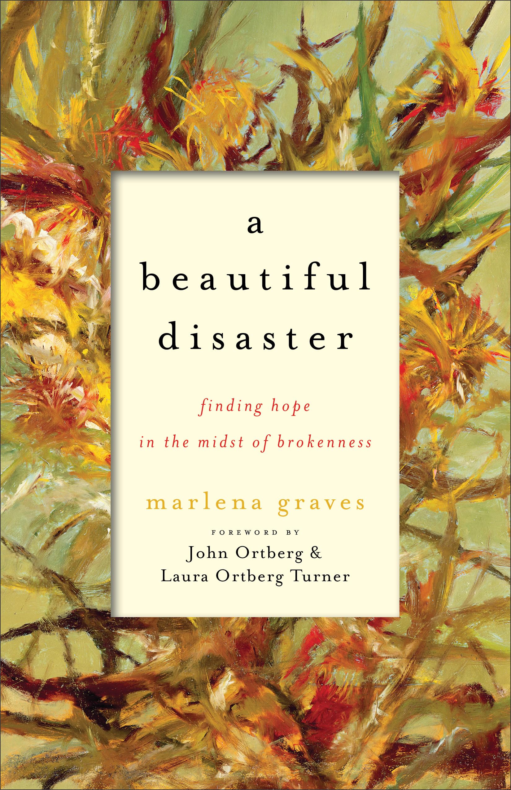 A Beautiful Disaster: Finding Hope in the Midst of Brokenness 9781587433412