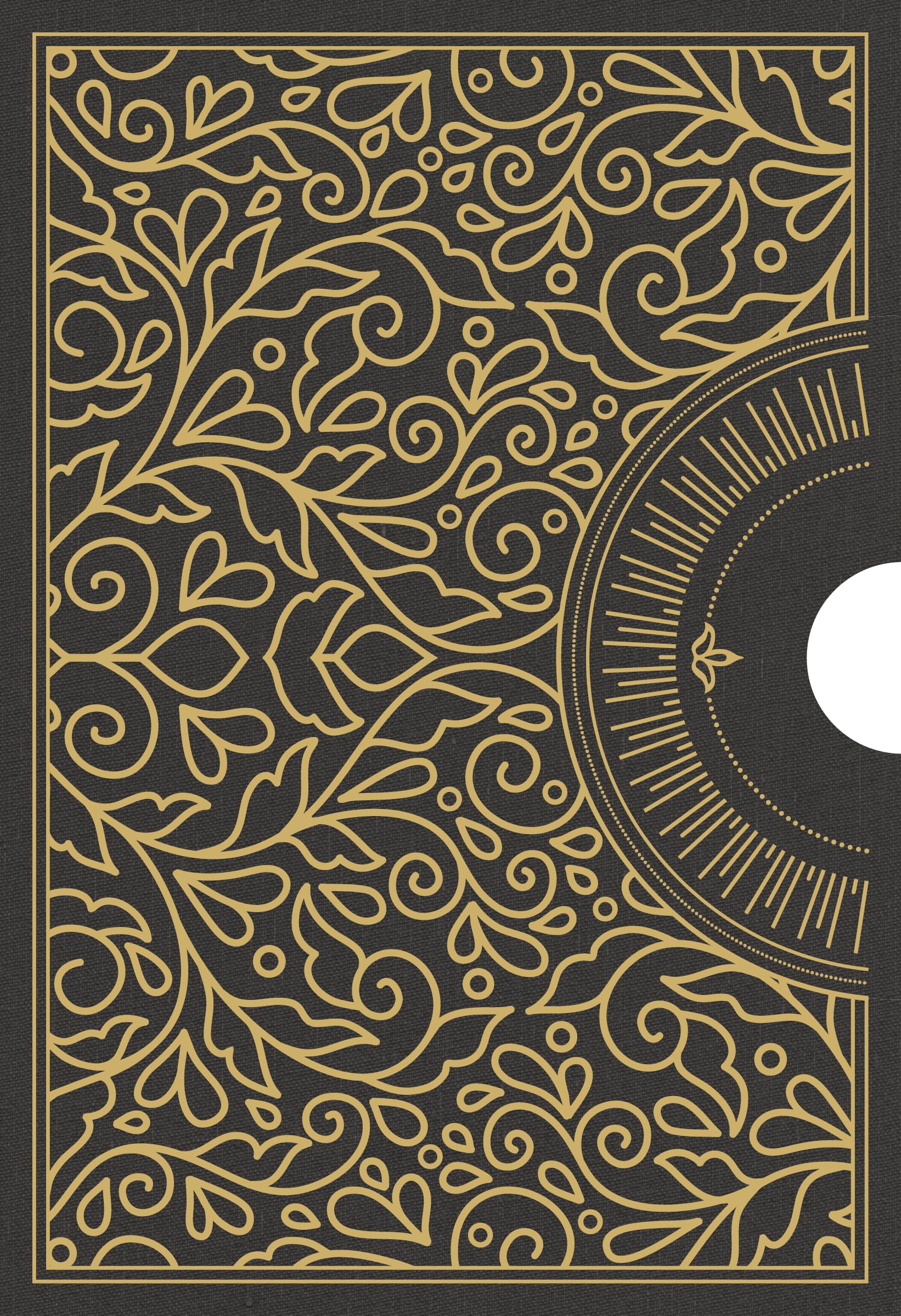 The 30 Days Series Bundle: CSB Edition, Black Letter, Daily Readings, Prayers, Easy-to-Read Type (In 30 Days) 9798384509677