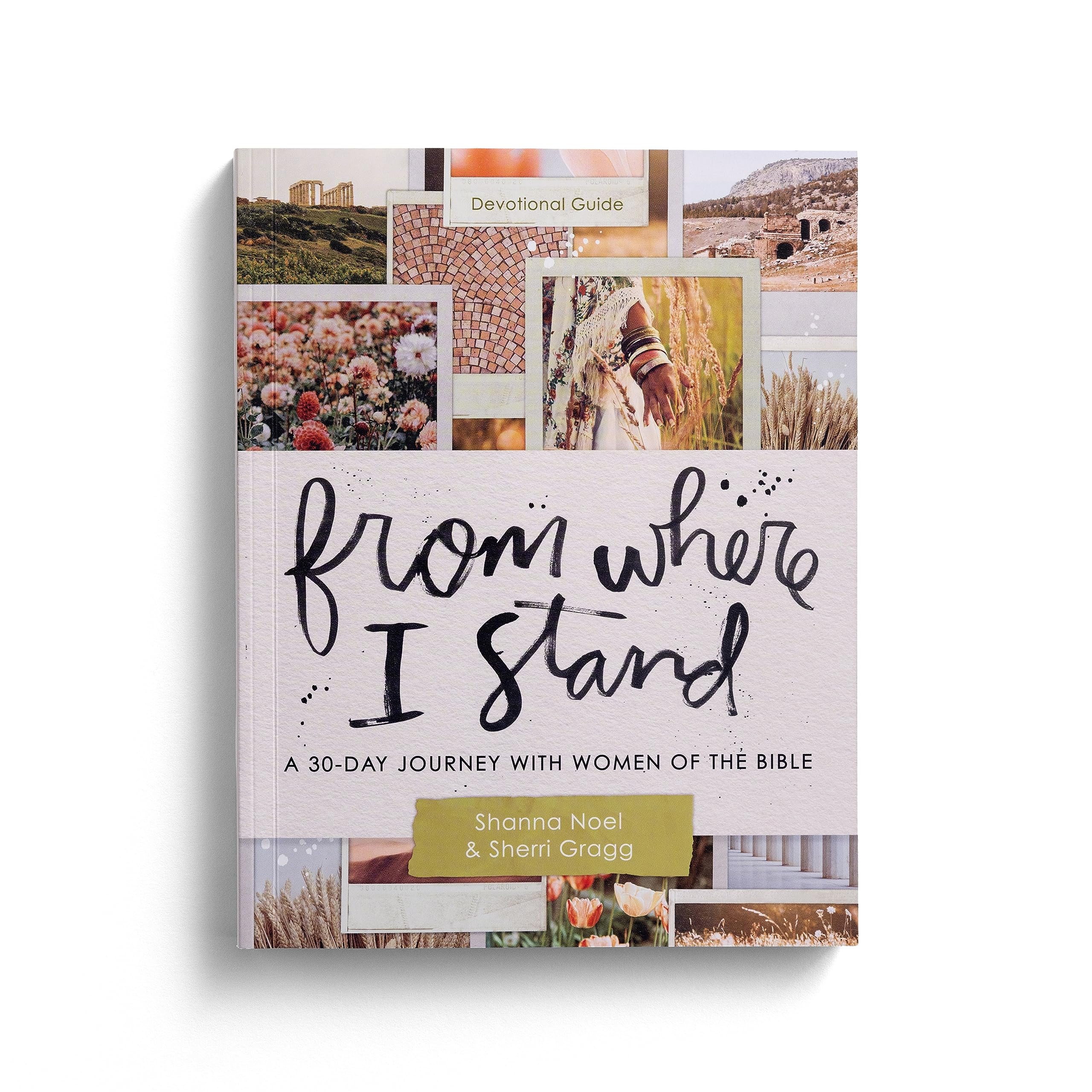 From Where I Stand: A 30 Day Journey with Women of the Bible - Devotional Guide 9781648709494