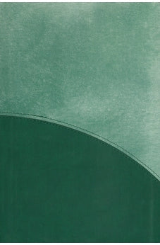 CSB Rainbow Study Bible, Leathertouch, Forest Green 9781087755335