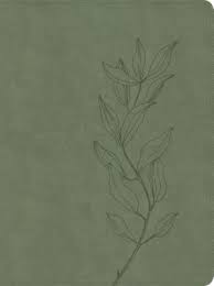 CSB Lifeway Women's Bible, Slate LeatherTouch