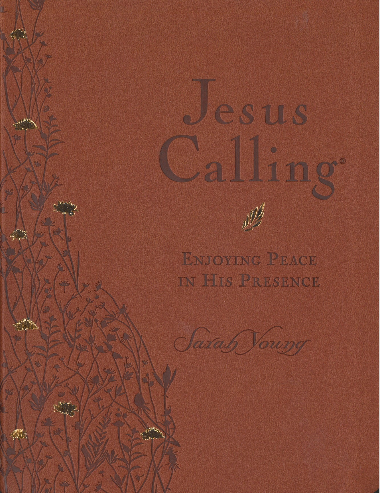 Jesus Calling: Enjoying Peace in His Presence