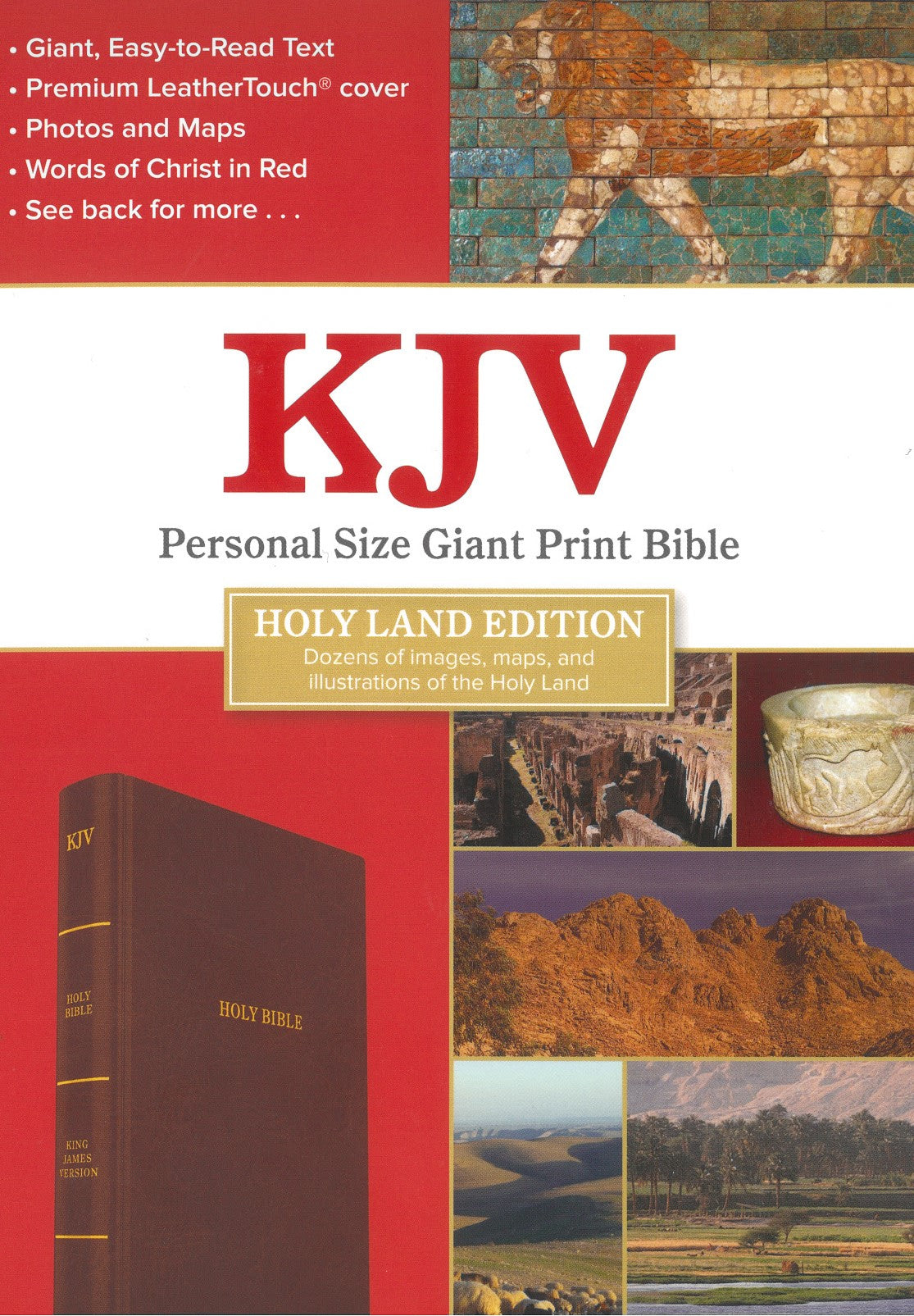KJV Personal Size Giant Print Bible, Holy Land Edition, Brown LeatherTouch 9781430097938