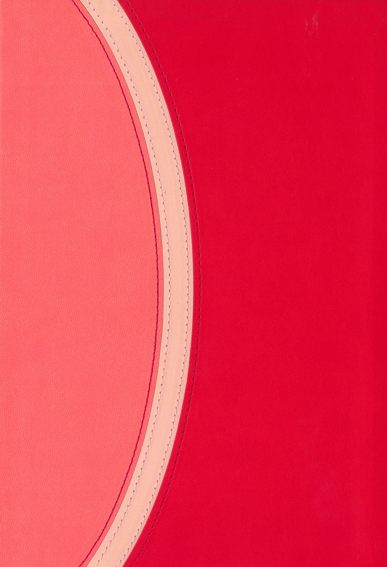 CSB Rainbow Study Bible, Pink LeatherTouch 9798384511595